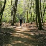 Tretroller-Tour mit deinem Hund